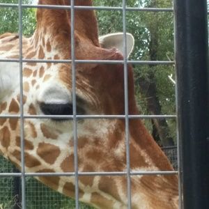 Meet your Posher, Tina